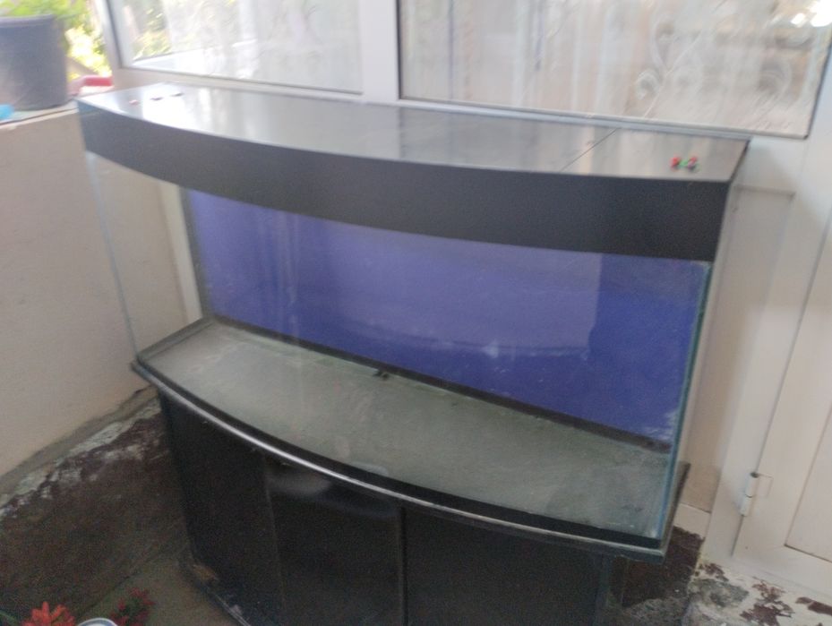 Akvarium 250 litrlik