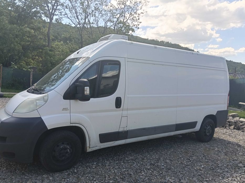 Dubă frigorifica model FIAT Ducato