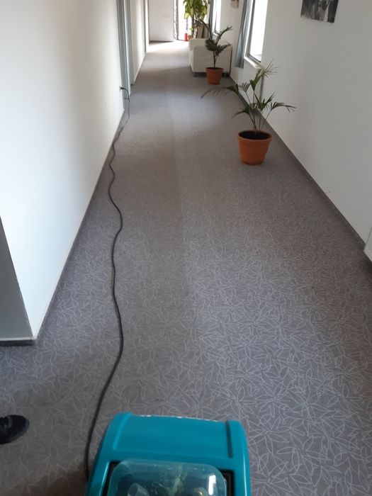 Curatat mochete spălat mochete curatat covoare