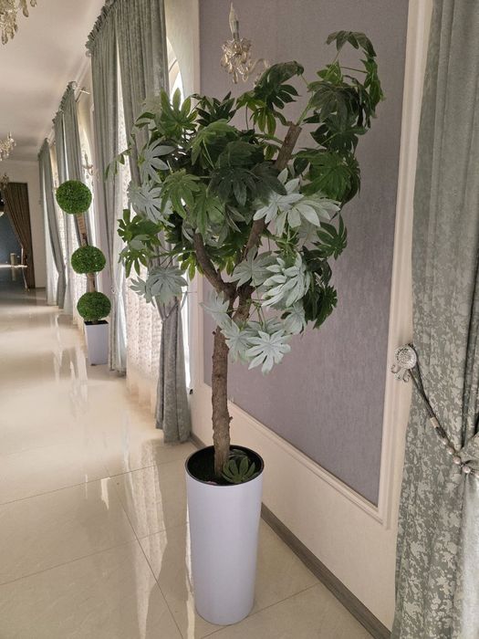 Яссама гуллар сотилади