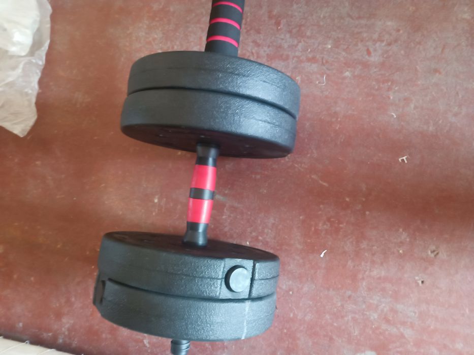 Gantel 24 kg 12x2