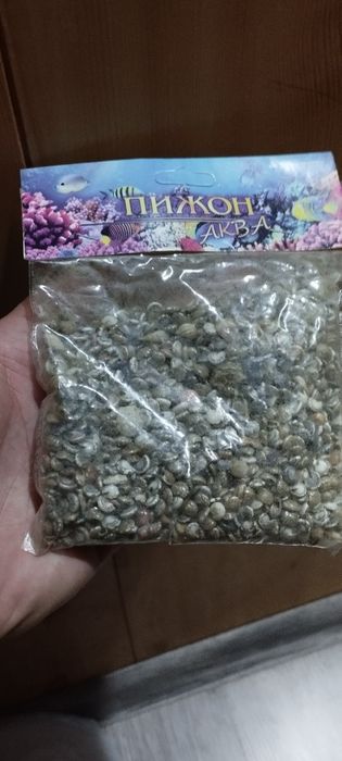 Микро ракушки морские.