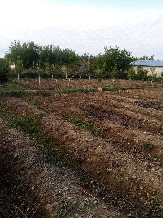 дача с хозяйством