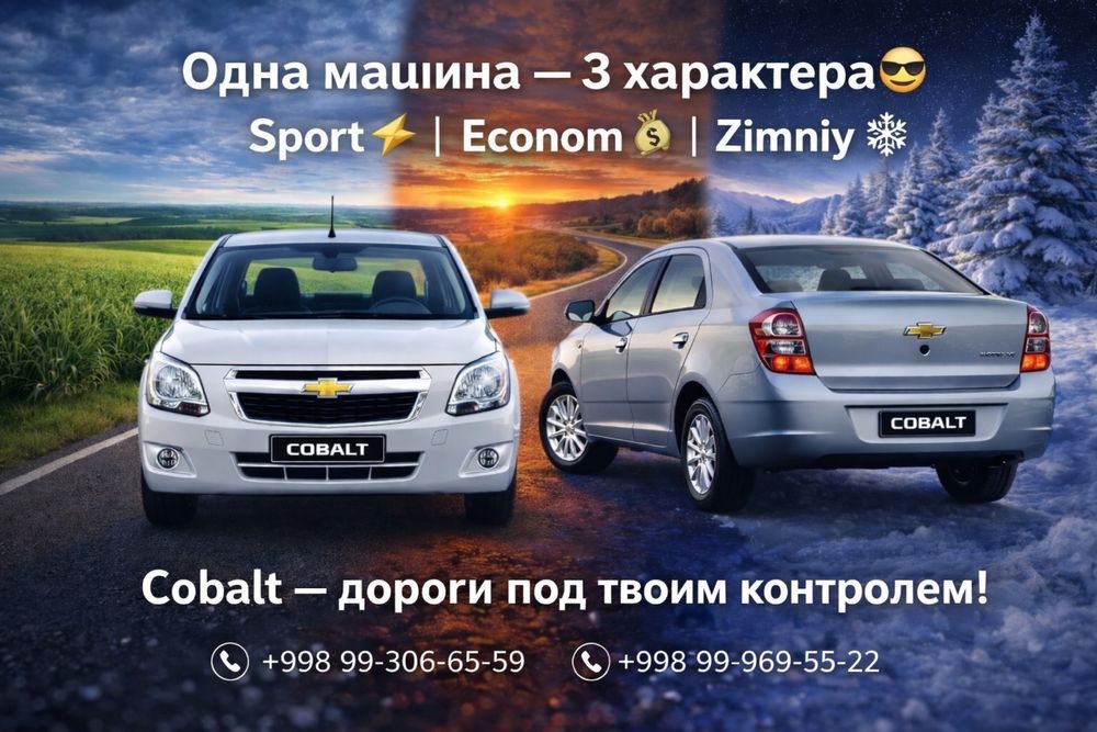 Программное управление для Cobalt: Sport / Econom / Zimniy