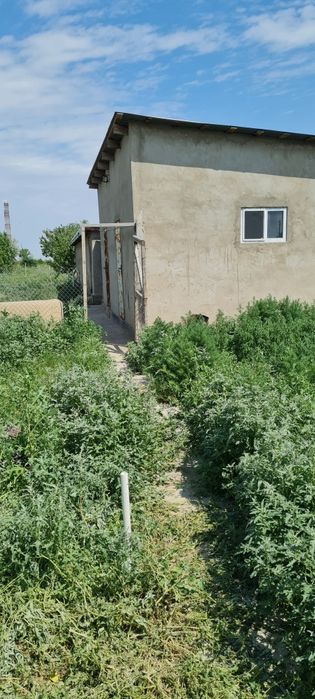 Продам дом с большим участком