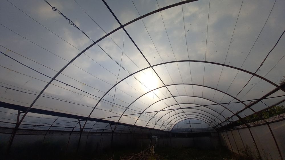 Парник сотилади келиштириб берилади