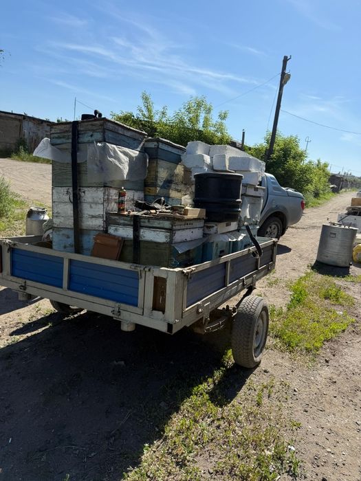 Пасека, прицеп, медогонка