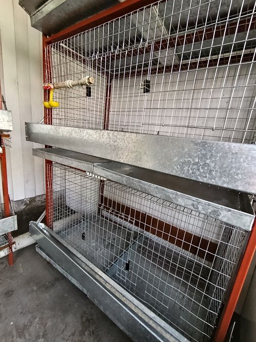 Клетки для кур. Продам 2 стеллажа