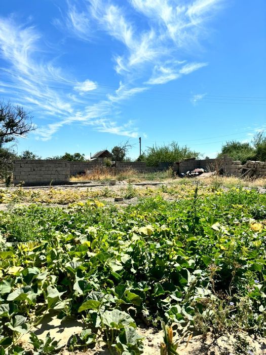Продам дачу ново джамбул