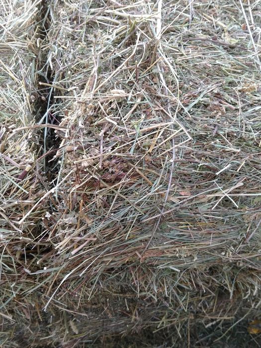 Продам тюки сено горное