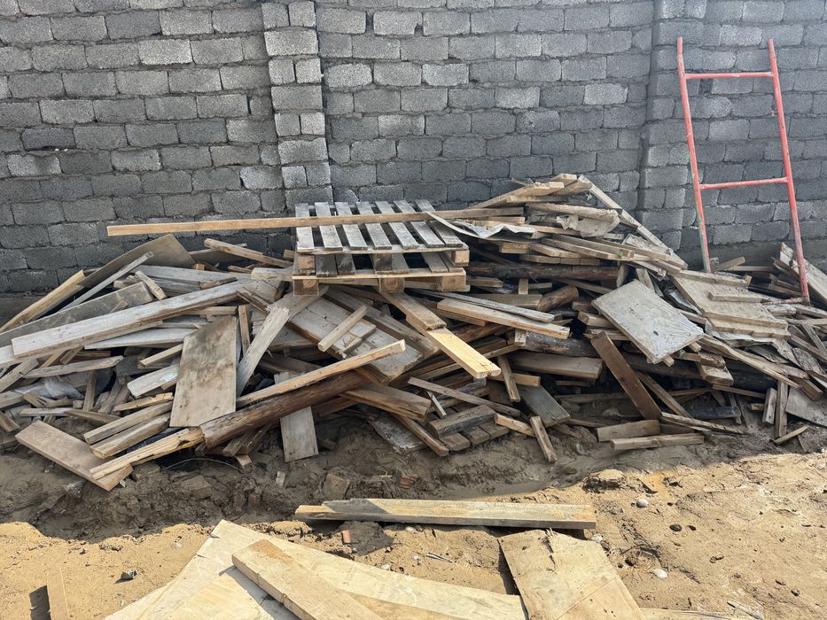 Агаштар улкен колемде