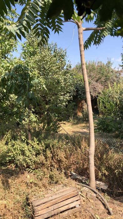 Продаётся частный дом, 6 соток земли, район Телеграф (прокуратура)