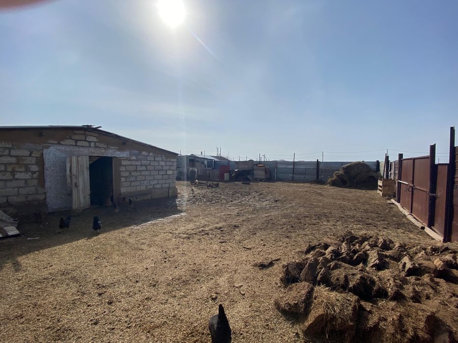 Торг есть звоните