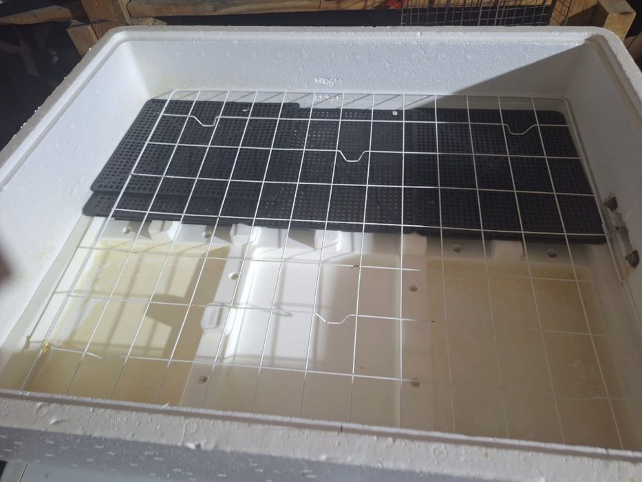 Инкубатор для яйц