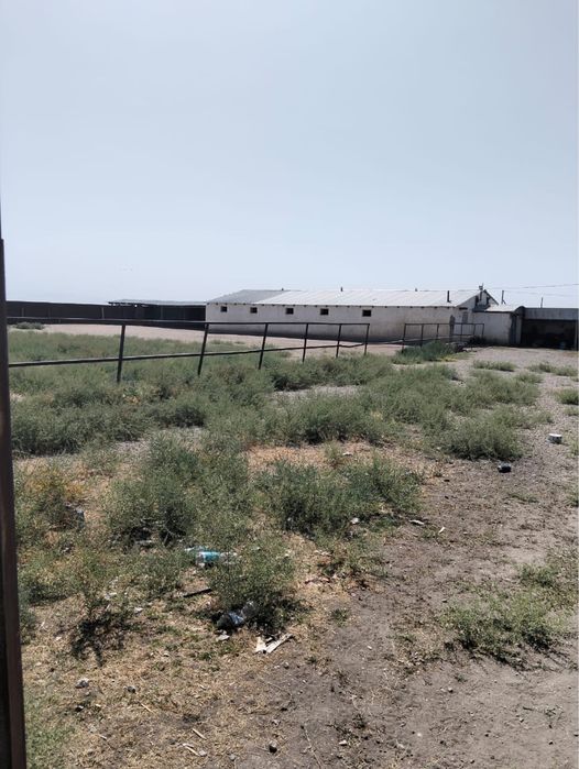 Фазенда Каракемер ауылында