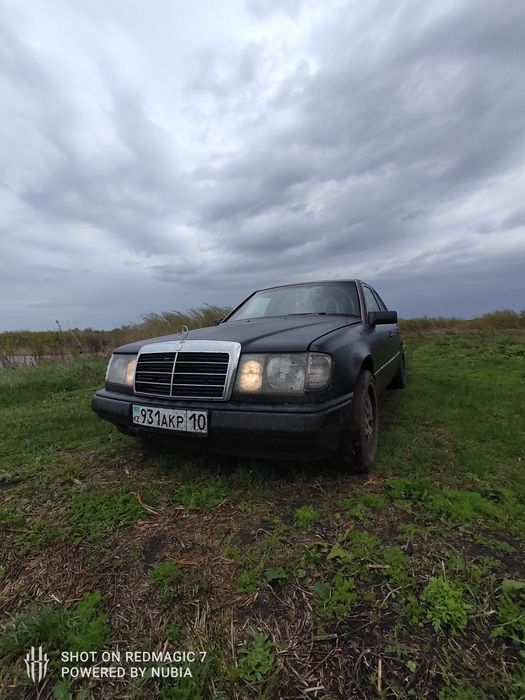 Продам Живого Немца
