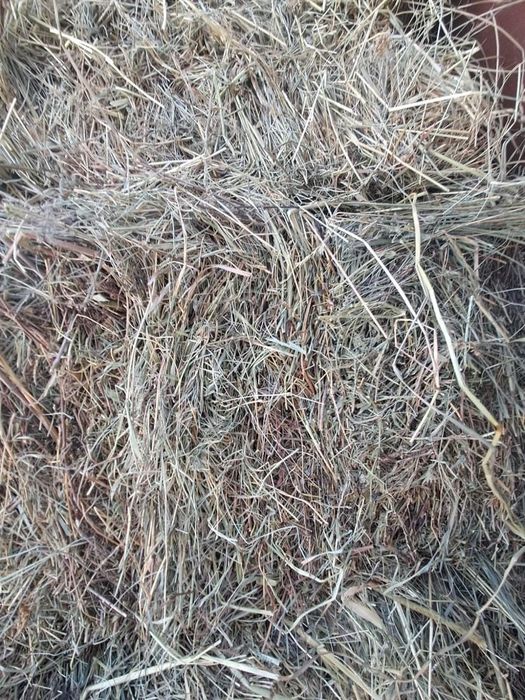 Vând baloți de fân