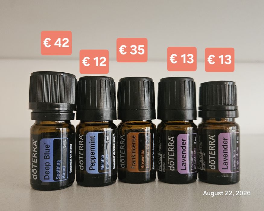 Дифузер Дотера Пилот Doterra Diffuser Pilot