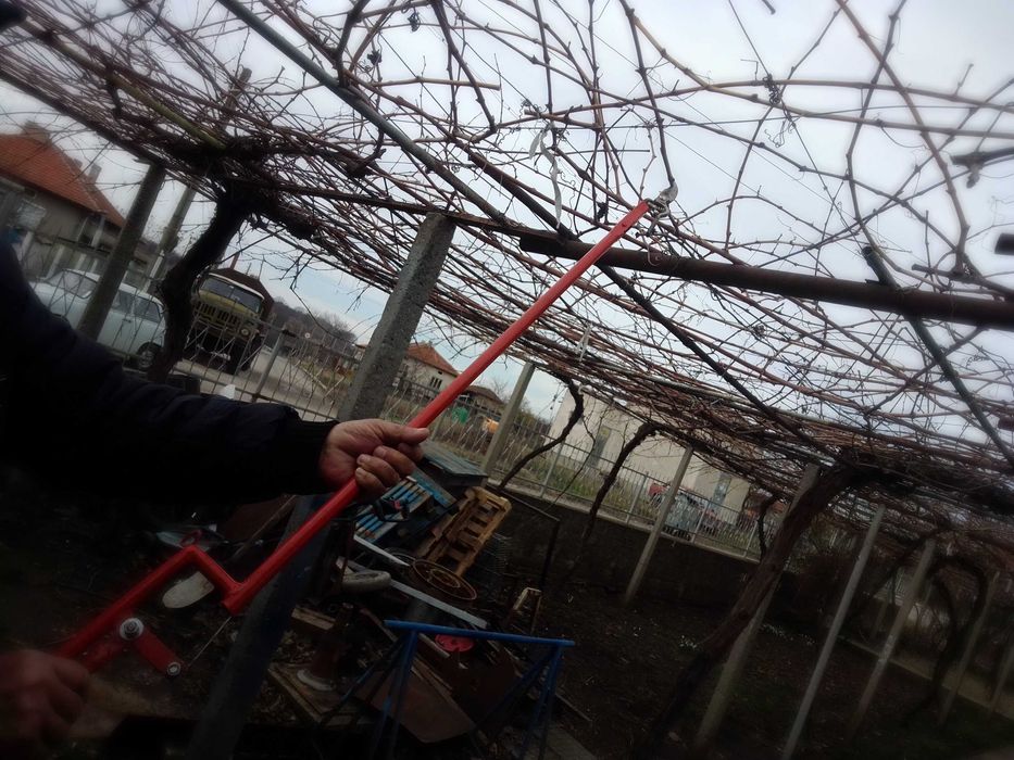 Удължена лозарска ножица и щипка