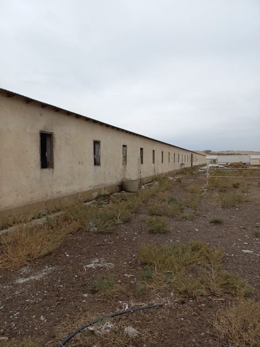 Ферма, для сельхоза и животноводничесва