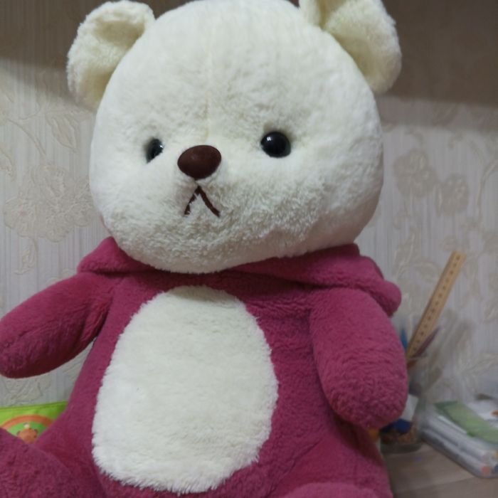 Плюшевый медведь