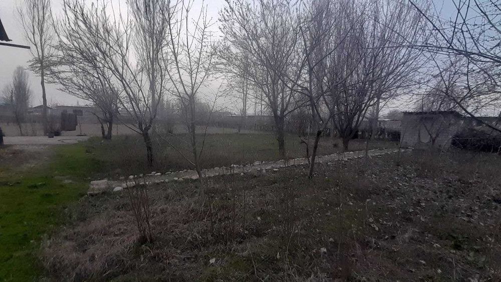 Tashmore yaqinida yer sotiladi