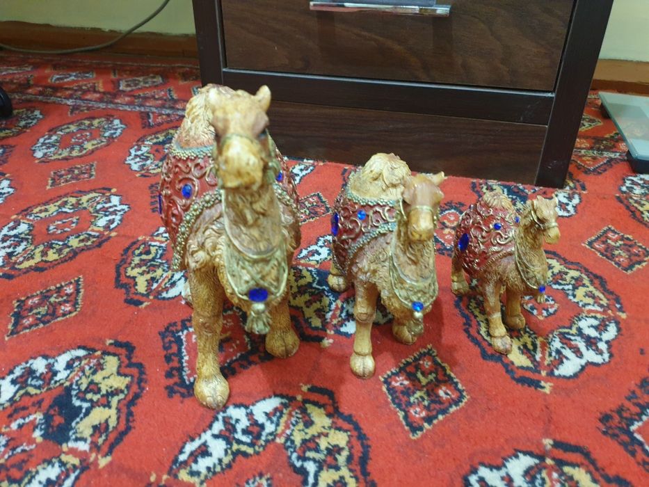 Верблюда  з штуки