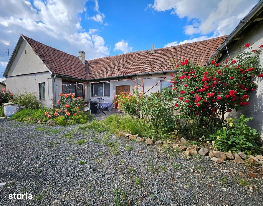 Casa cu 1566 mp teren in sat Mandruloc, com. Vladimirescu, jud. Arad