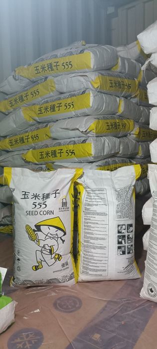 Семена кукурузы Китай, жүгері ұрығы Қытай