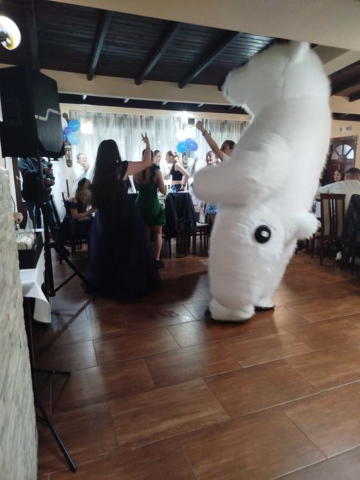 Голяма Бяла Мечка Изненада