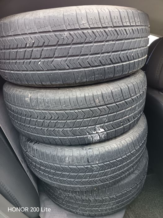 Balon sotiladi 14 razmeri