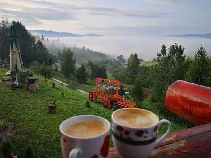 Cabana Gabriel Bucovina, Cazare, pensiune, casă, chalette cu ciubar