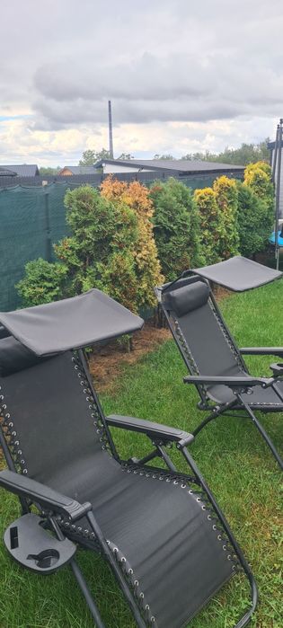 Oferta 10 braduleti tuia la 200 ron