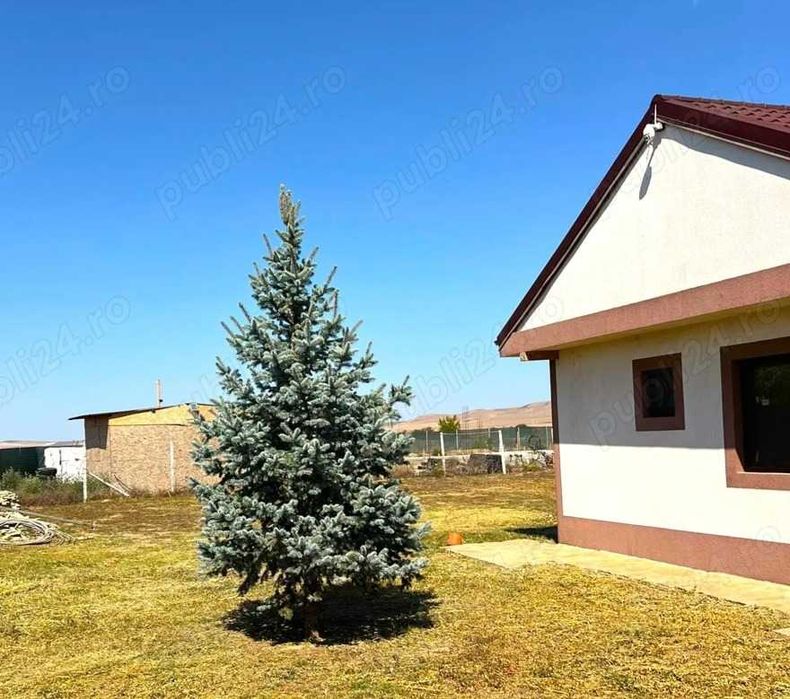Casa de vanzare - 4 camere, pivnita - 120mp - teren 2000 mp - M. Kogalniceanu - Tulcea - 99.000 Euro