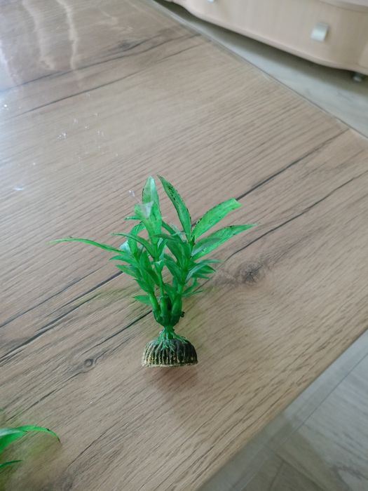 Продам искуственные растения в аквариум.