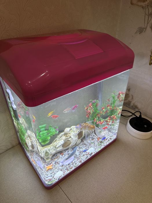 Аквариум с рыбками