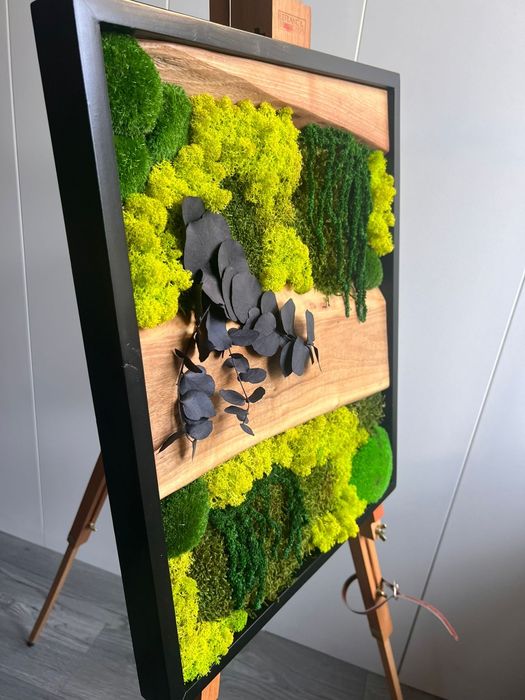 Tablou premium mușchi stabilizat + lemn nuc 50x40 cm handmade