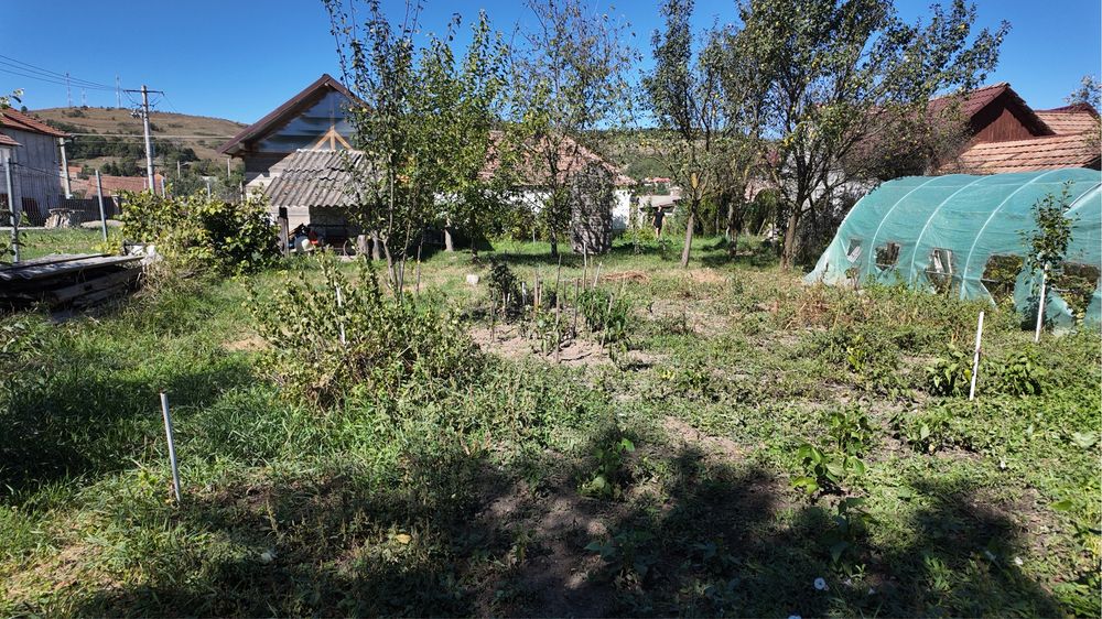 Casă Bătrănească+ Anexe, 1000MP Teren , Rupea