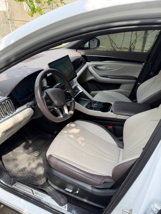 BYD Song Plus EV Champion 2024 — 5