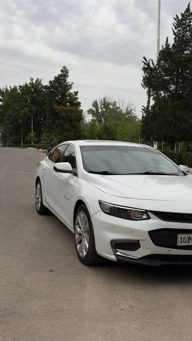 Малибу2 атмосферный