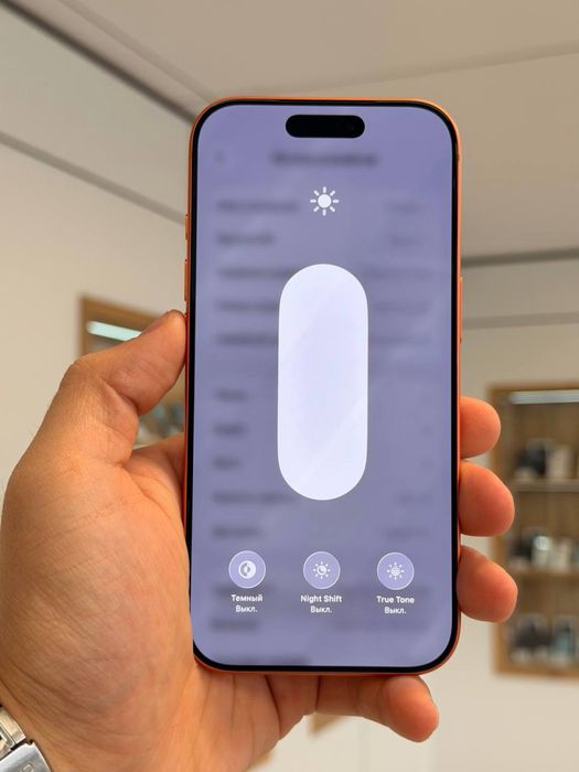 iPhone 17 Pro | 256 GB | E-SIM