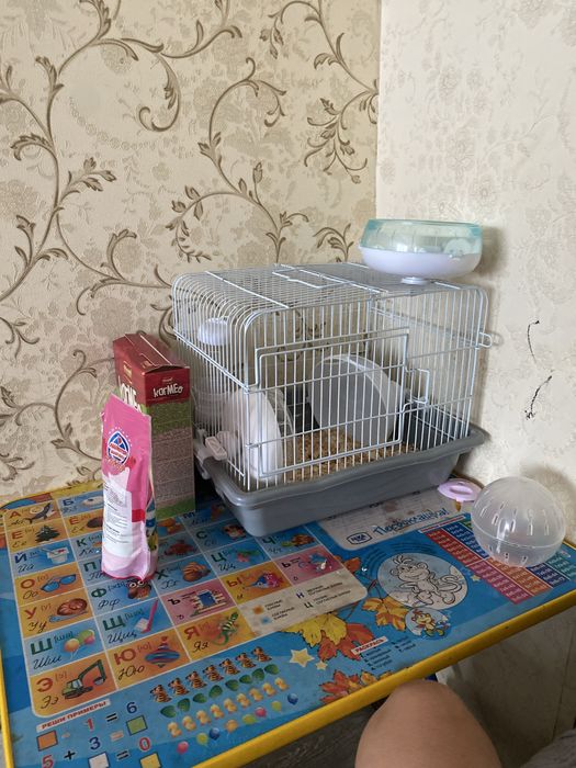 Продам хомяка  мальчик