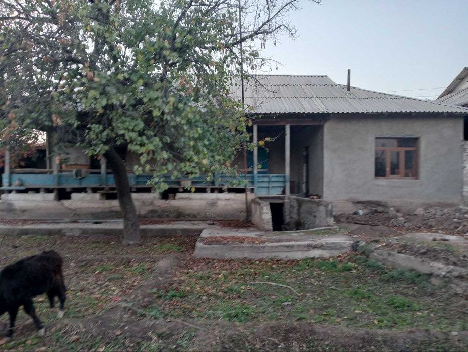 Xovli sotiladi 8 sotix