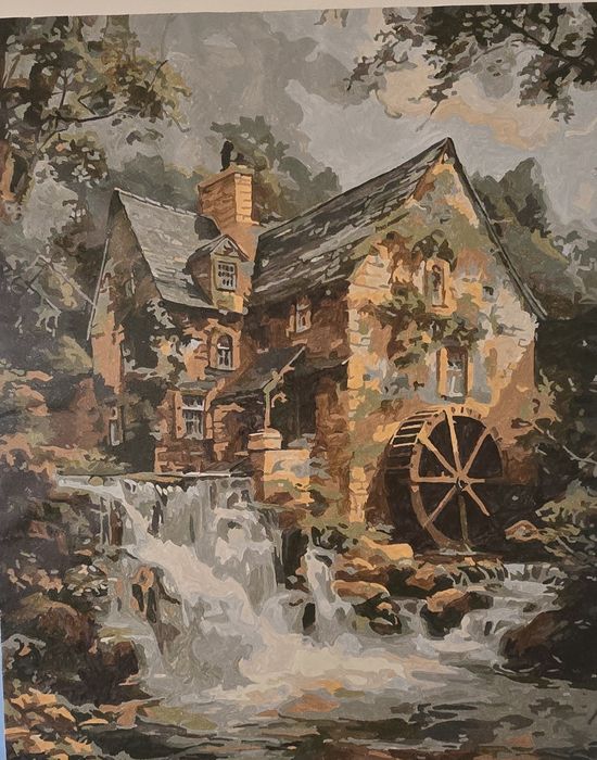 Vind picturi la pret rezonabil