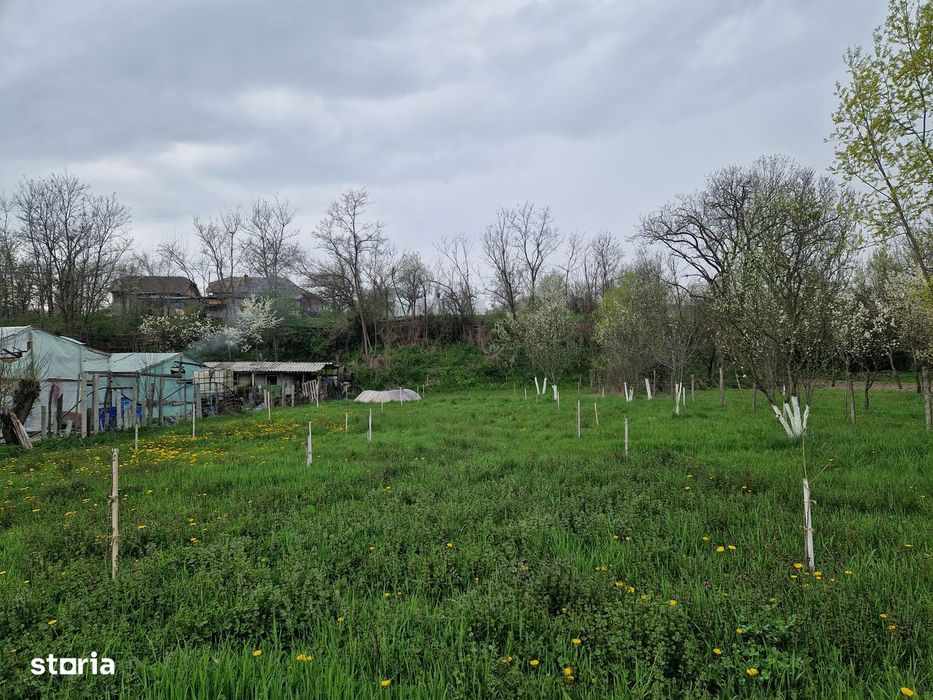 Teren in Motaieni