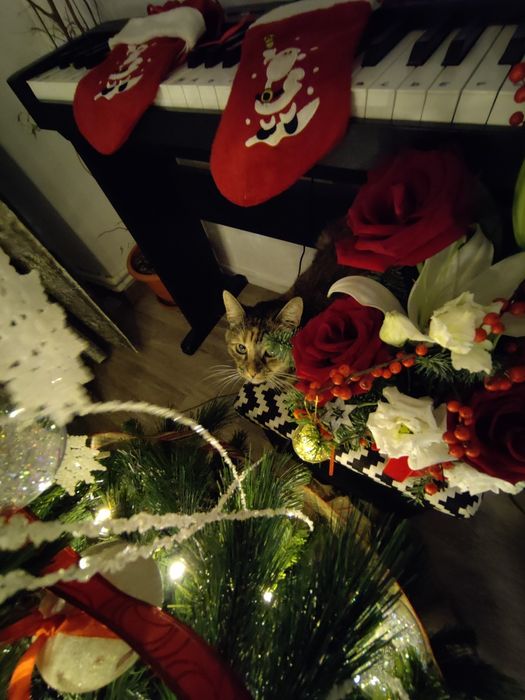 Babysitter de weekend