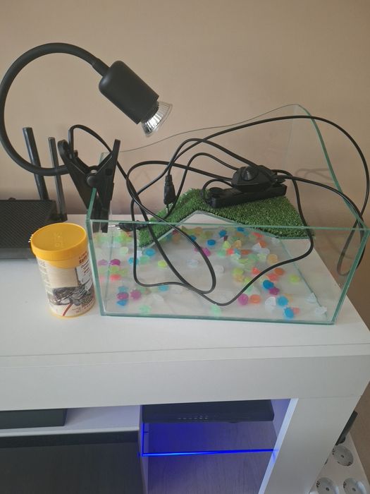 Оборудване за бебе костенурка