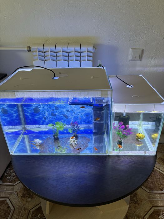 Продаются аквариумы