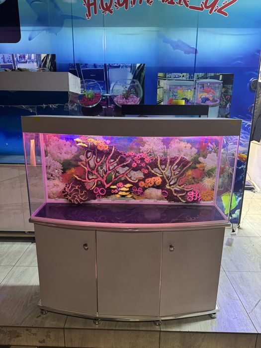 Akvarium 200-Litr yengi sifat a’lo