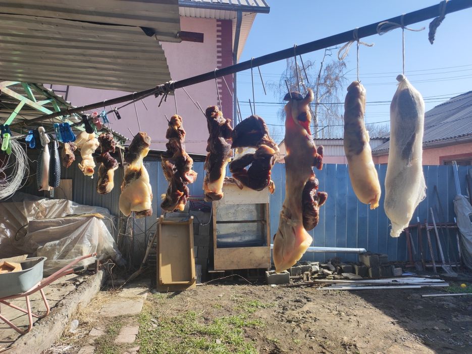 Конина холодного кочения